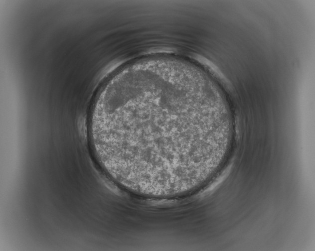 X0000111861113200908201252