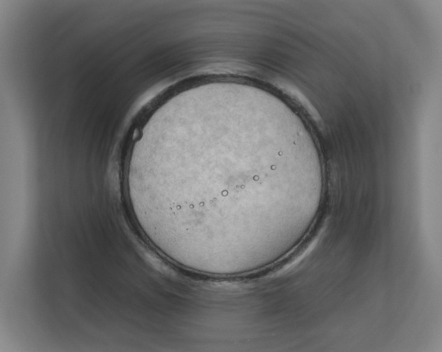 X0000111861114200908201252