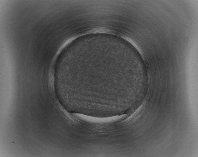 X0000111861115200908201252