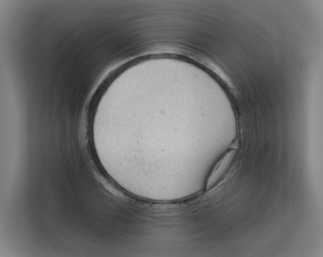 X0000111861116200908201252