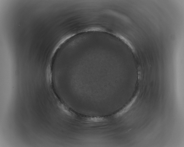 X0000111861117200908201252