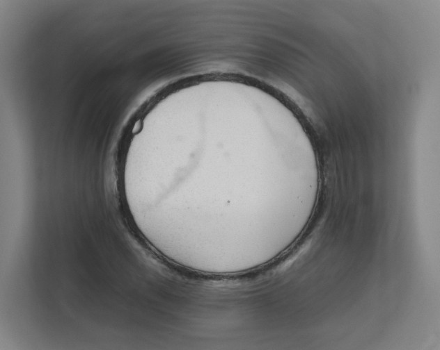 X0000111861118200908201252