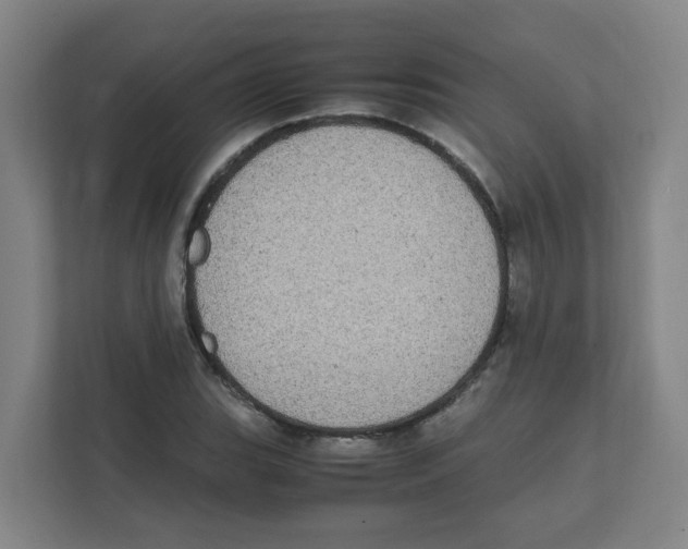 X0000111861119200908201252