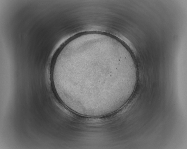 X0000111861120200908201252
