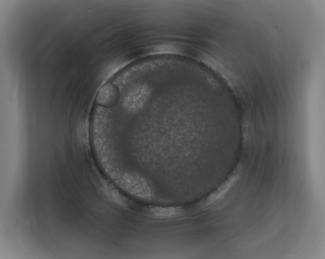 X0000111861121200908201252