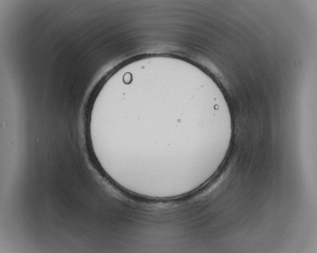 X0000111861122200908201252