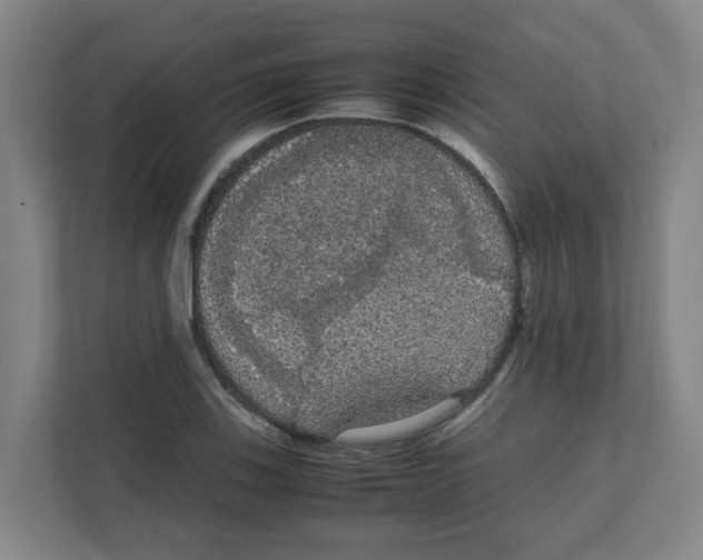 X0000111861123200908201252