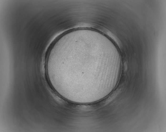 X0000111861124200908201252