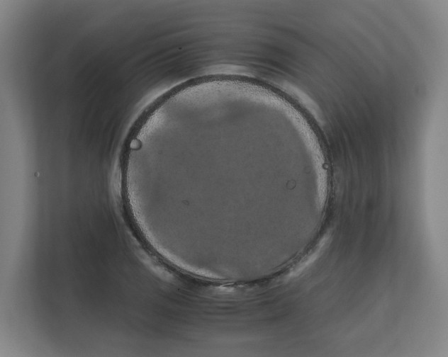 X0000111861125200908201252