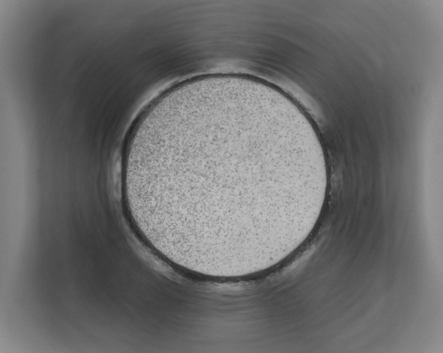 X0000111861126200908201252