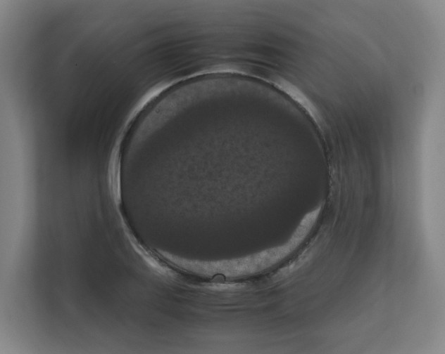 X0000111861127200908201252