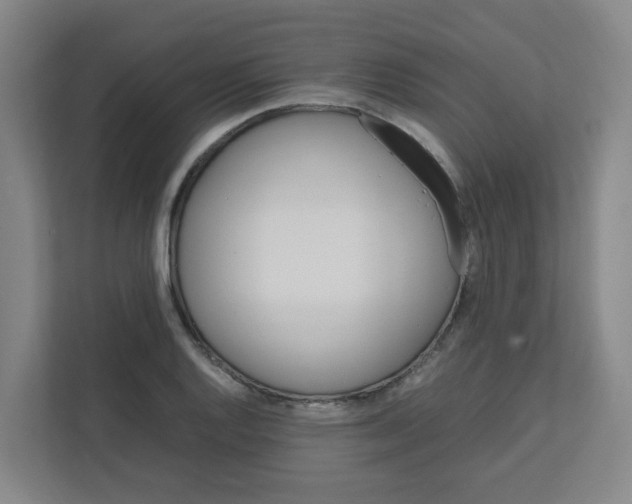X0000111861128200908201252