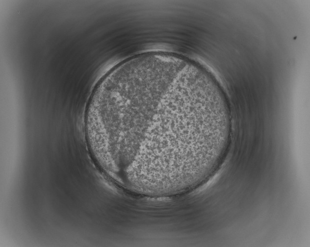 X0000111861129200908201252