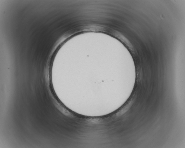 X0000111861130200908201252