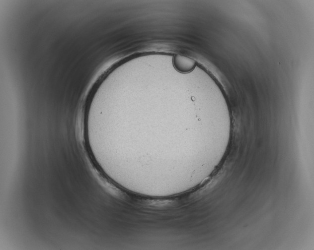 X0000111861131200908201252