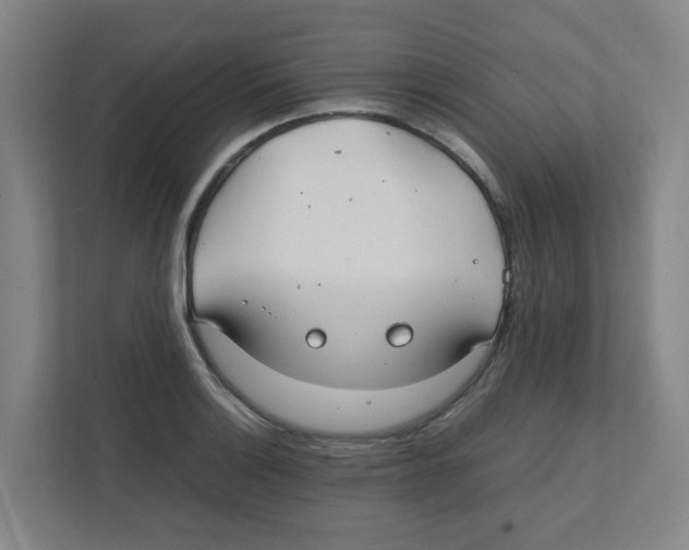 X0000111861132200908201252