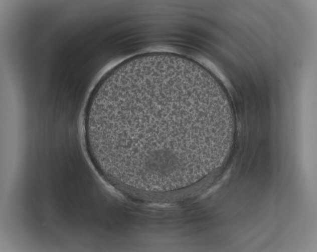 X0000111861133200908201252