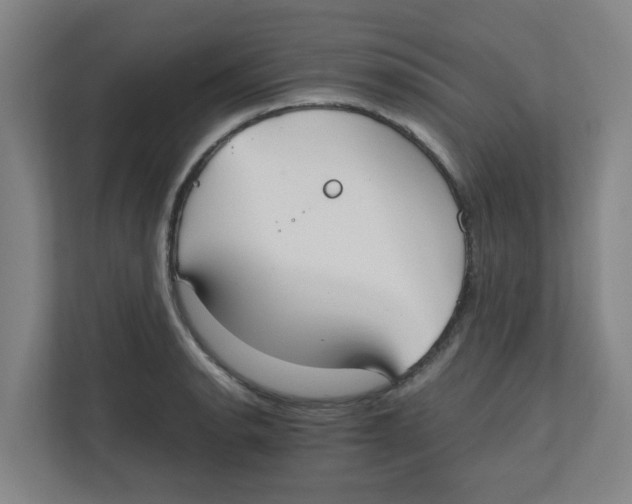 X0000111861134200908201252