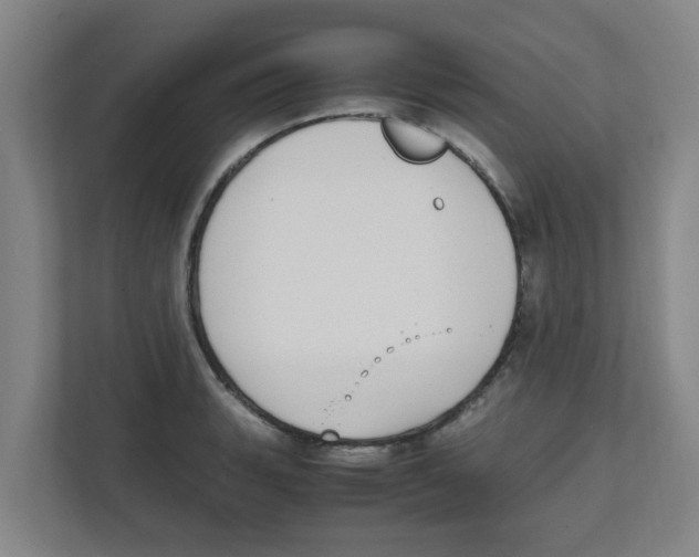 X0000111861135200908201252