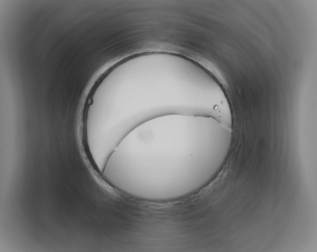X0000111861136200908201252