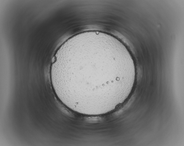 X0000111861137200908201252