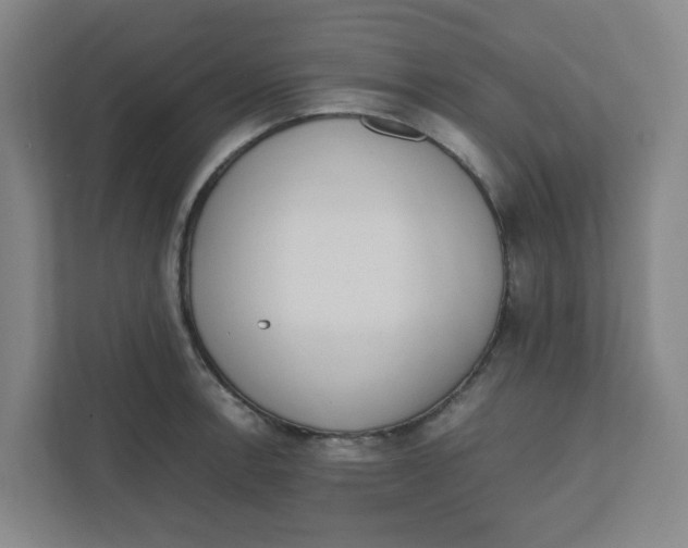 X0000111861138200908201252