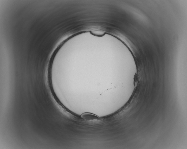 X0000111861139200908201252