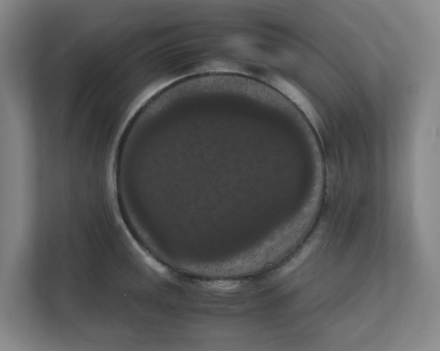 X0000111861141200908201252
