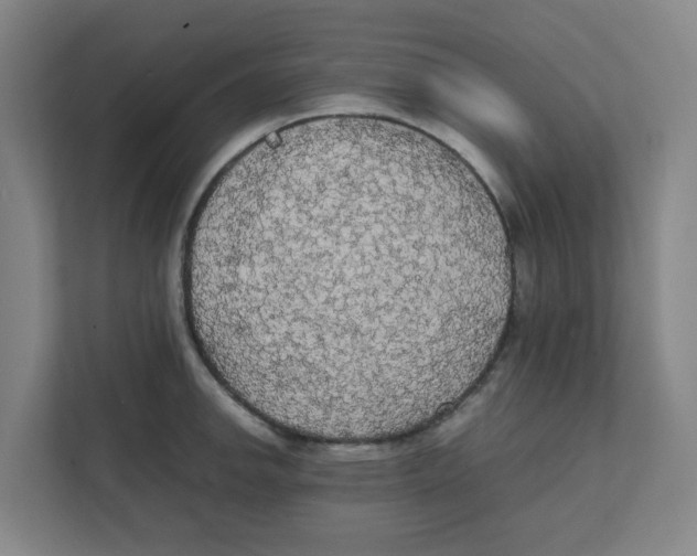 X0000111861142200908201252