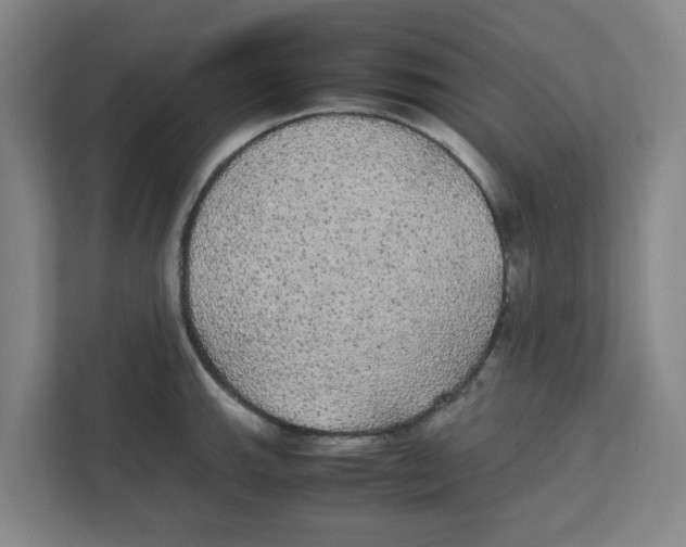 X0000111861143200908201252