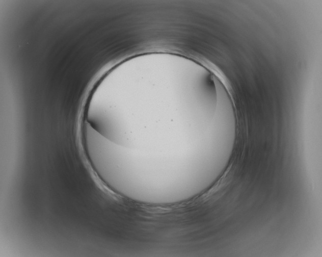 X0000111861144200908201252