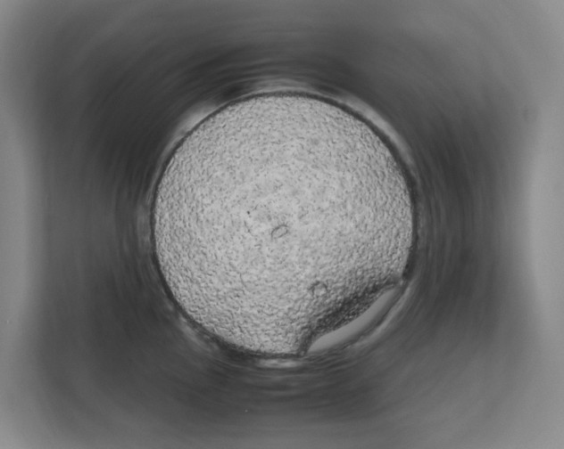 X0000111861145200908201252