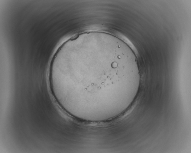 X0000111861146200908201252