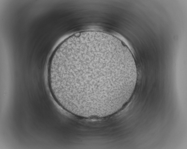 X0000111861147200908201252