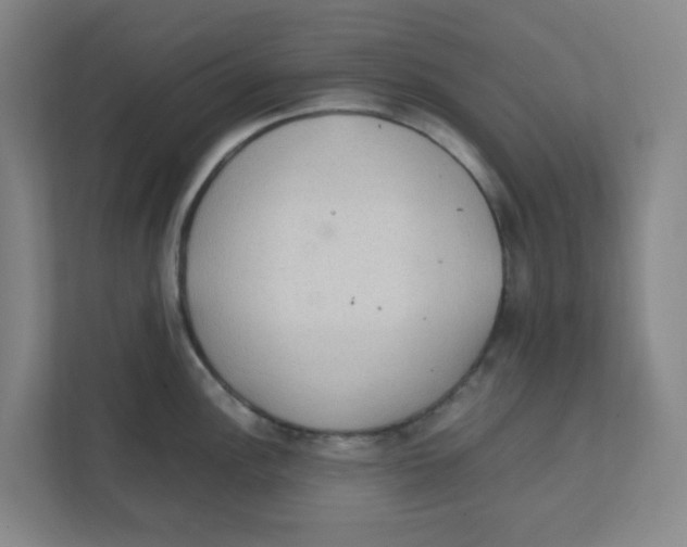X0000111861148200908201252