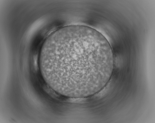 X0000111861150200908201252