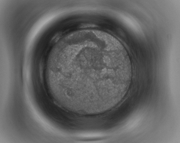 X0000111861151200908201252