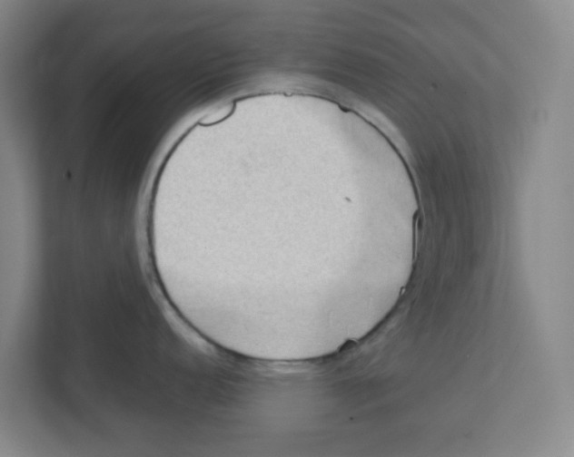 X0000111861152200908201252