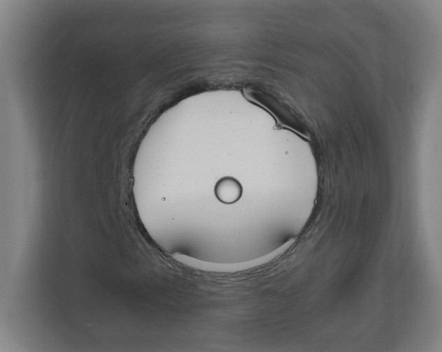 X0000111861153200908201251