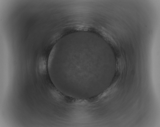 X0000111861154200908201251