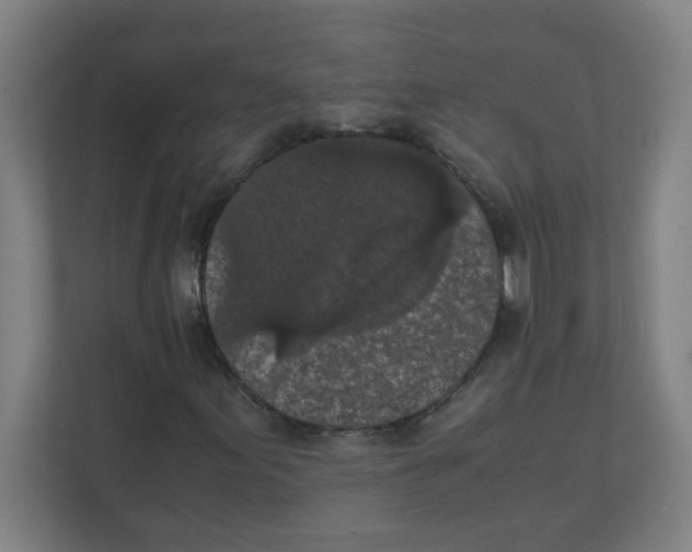 X0000111861155200908201251