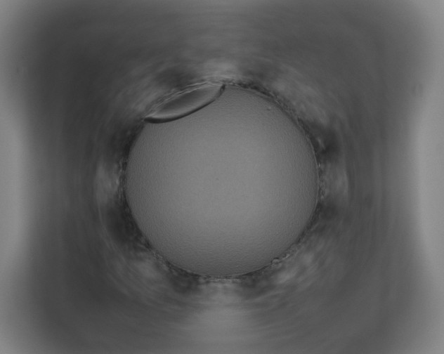 X0000111861157200908201251