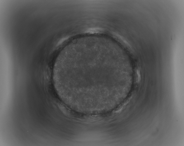 X0000111861158200908201251