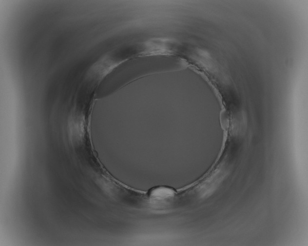 X0000111861161200908201251