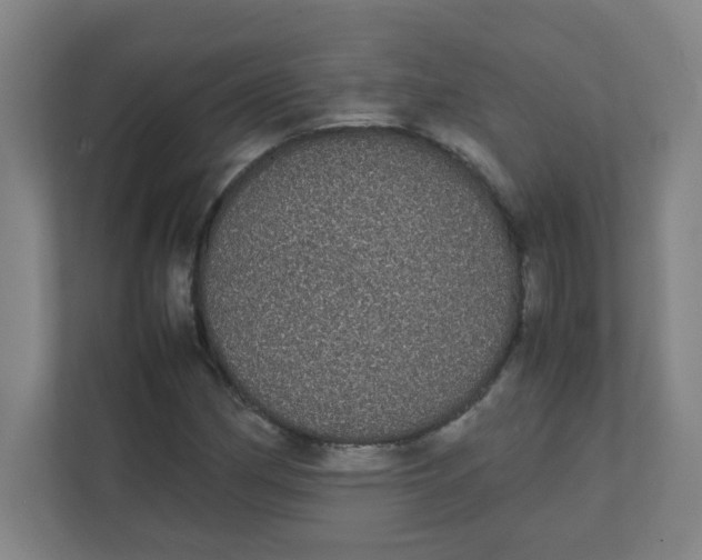 X0000111861162200908201251
