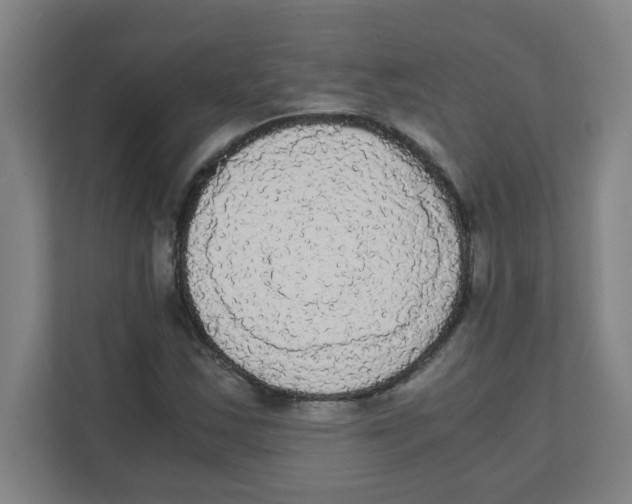 X0000111861163200908201251