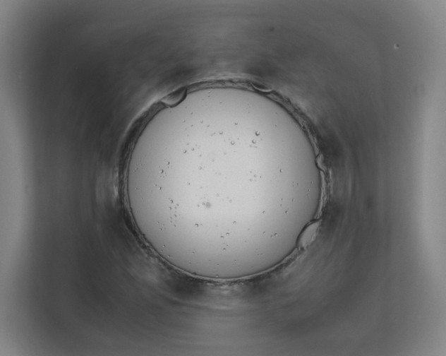X0000111861165200908201251