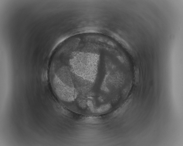 X0000111861166200908201251