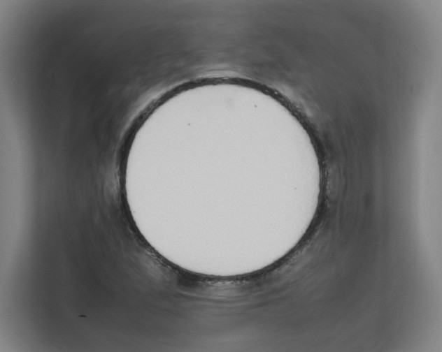 X0000111861167200908201251
