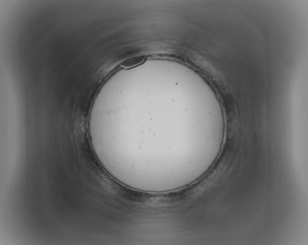 X0000111861169200908201251